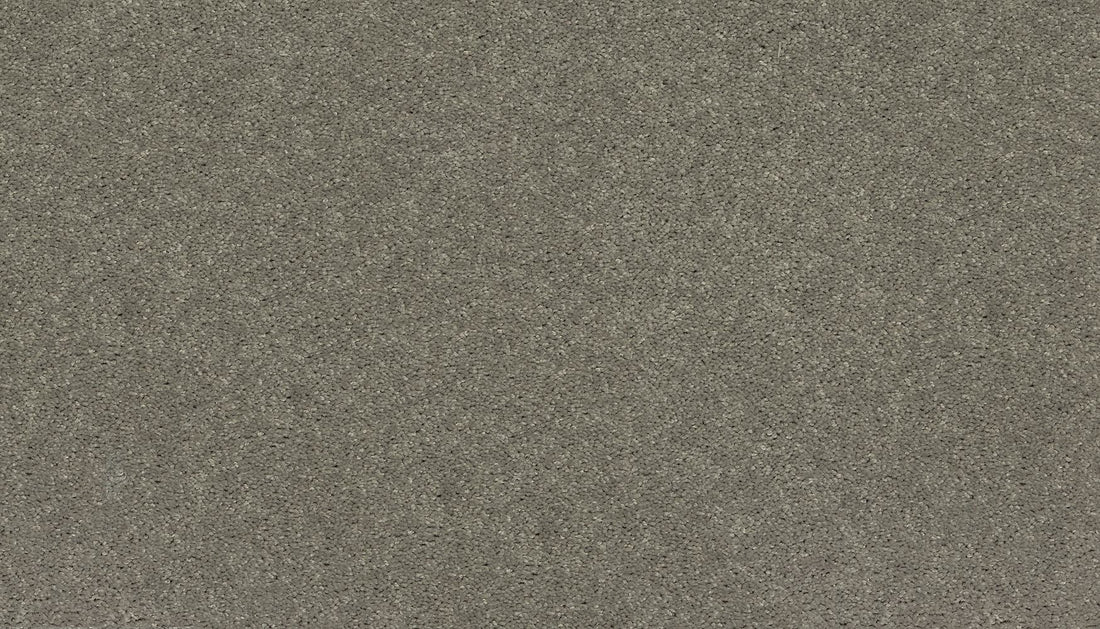 3f79-926-variant-room-scene