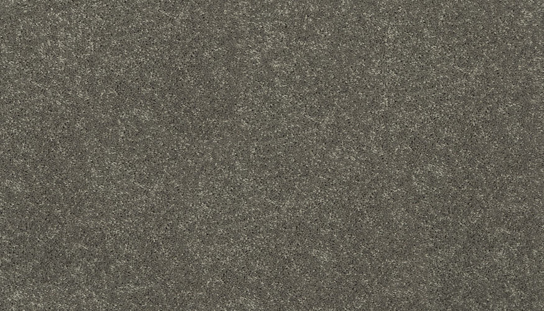 3f79-946-variant-room-scene