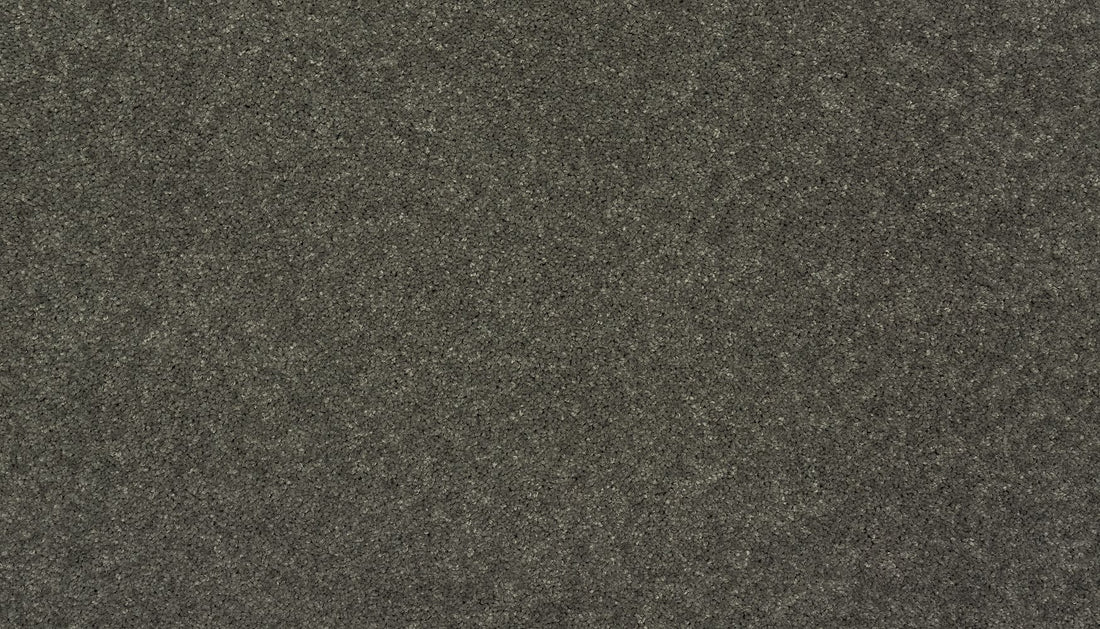 3f79-966-variant-room-scene