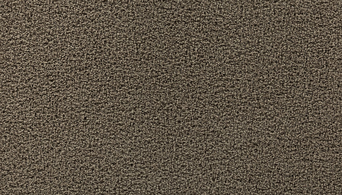 3g77-834-variant-room-scene