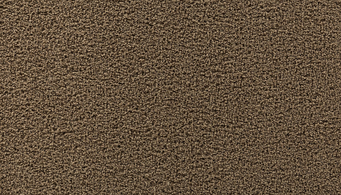 3g77-857-variant-room-scene