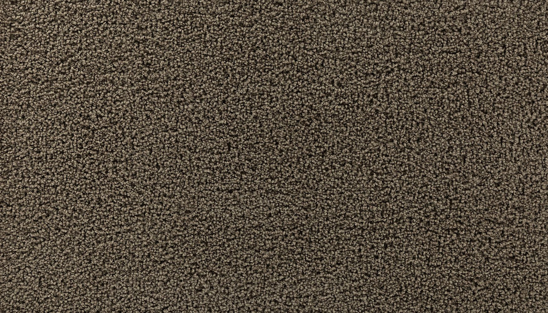 3g77-858-variant-room-scene