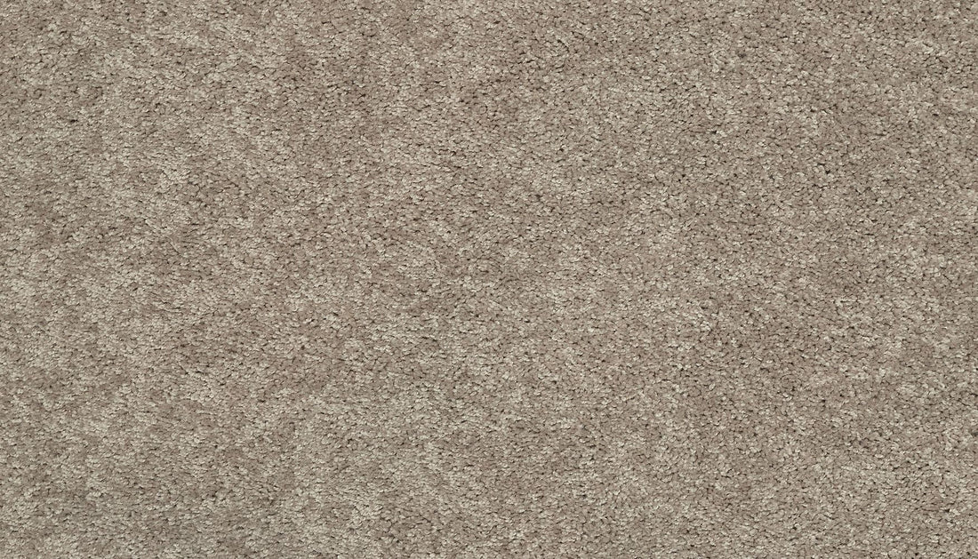 3g77-864-variant-room-scene