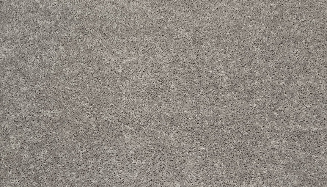 3g77-959-variant-room-scene