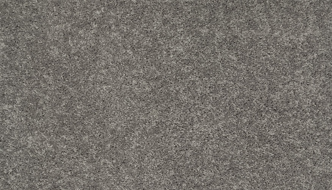 3g77-989-variant-room-scene
