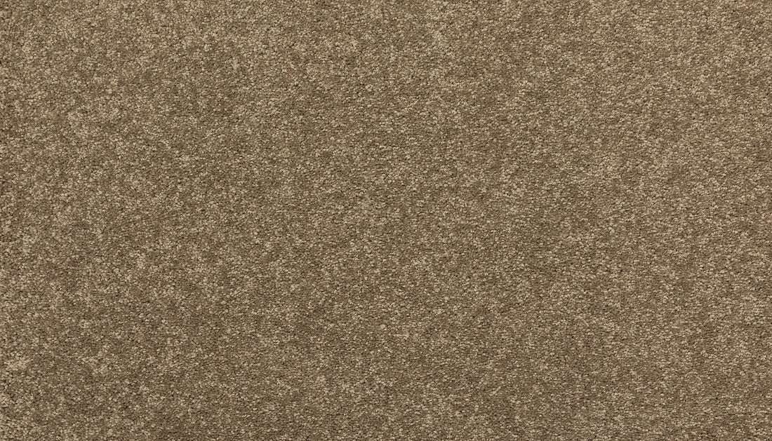 3i49-788-variant-room-scene