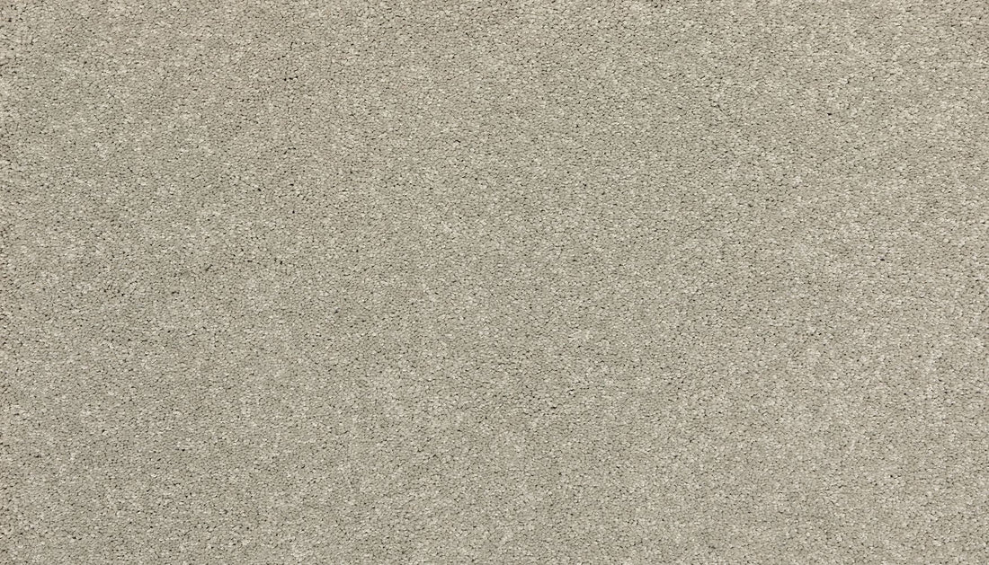 3i49-810-variant-room-scene