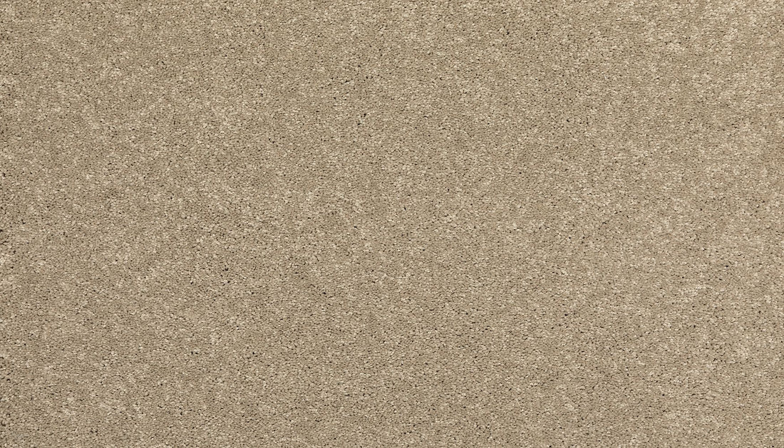 3i57-776-variant-room-scene