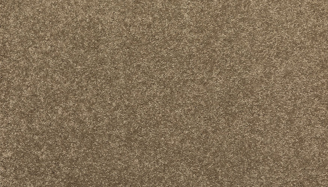 3i57-788-variant-room-scene