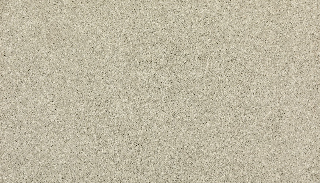 3i57-919-variant-room-scene