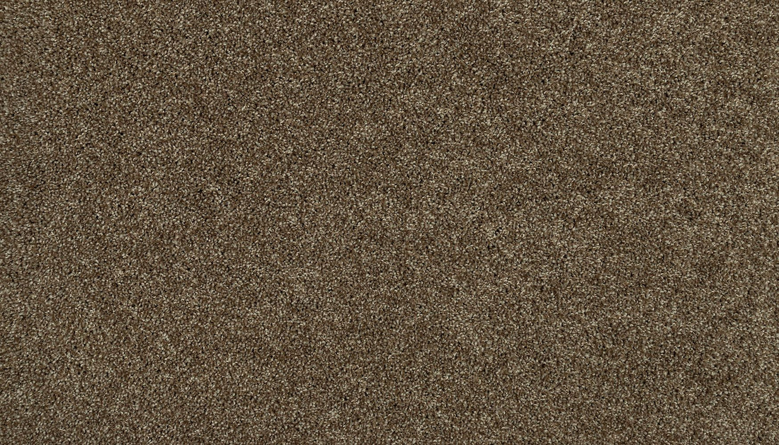 3i87-788-variant-room-scene
