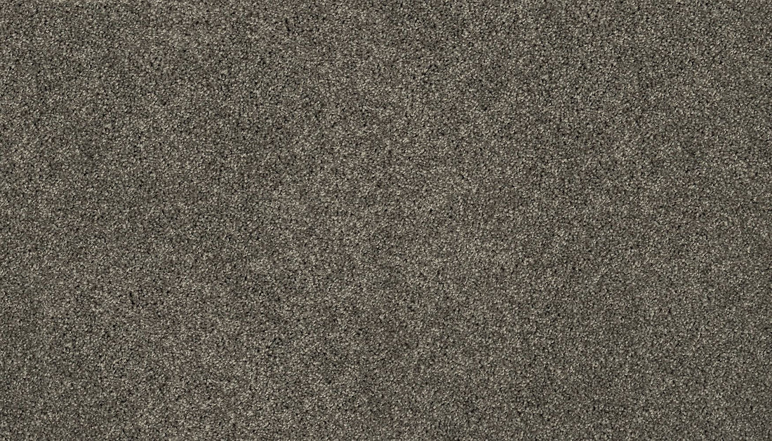 3i87-956-variant-room-scene