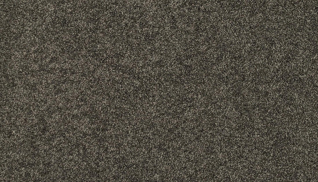 3i87-976-variant-room-scene