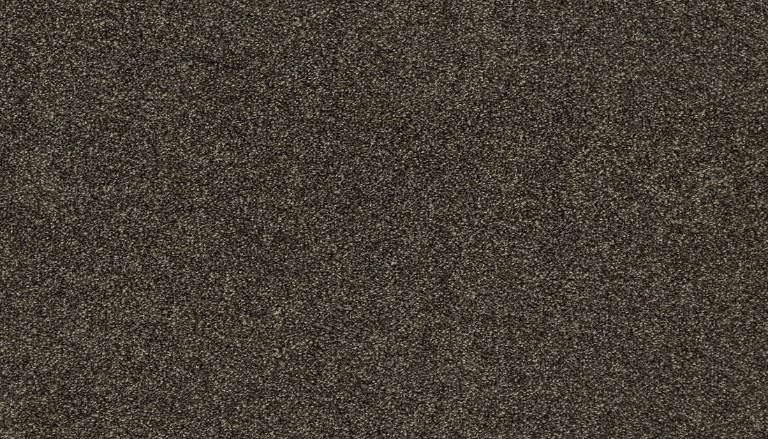 3i87-978-variant-room-scene