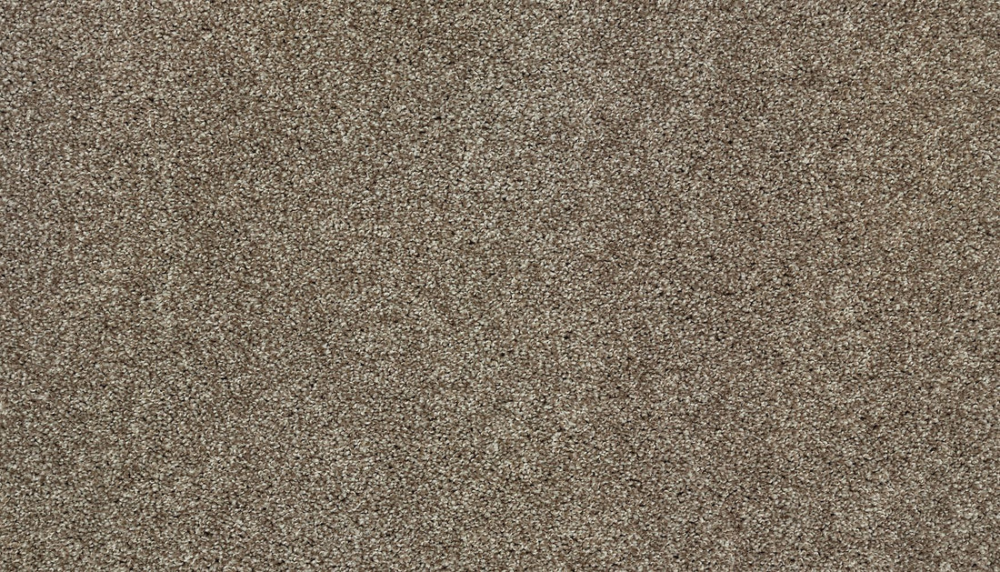3i83-788-variant-room-scene