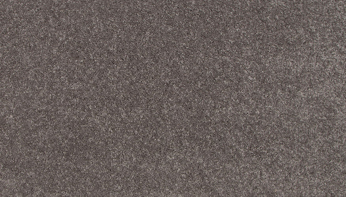 3l18-954-variant-room-scene