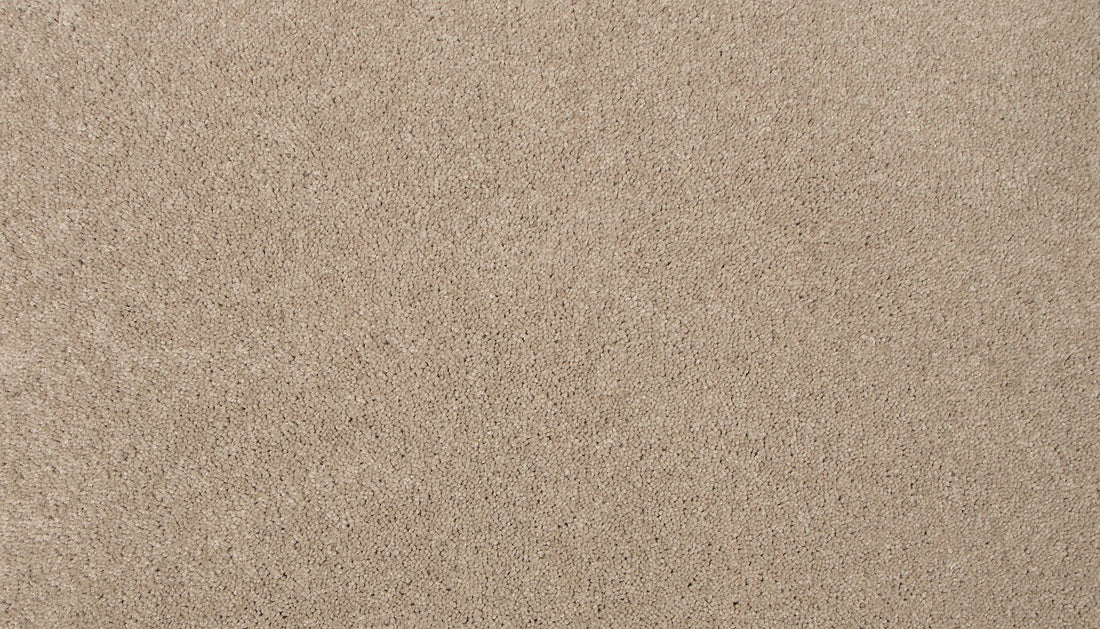 3l19-846-variant-room-scene