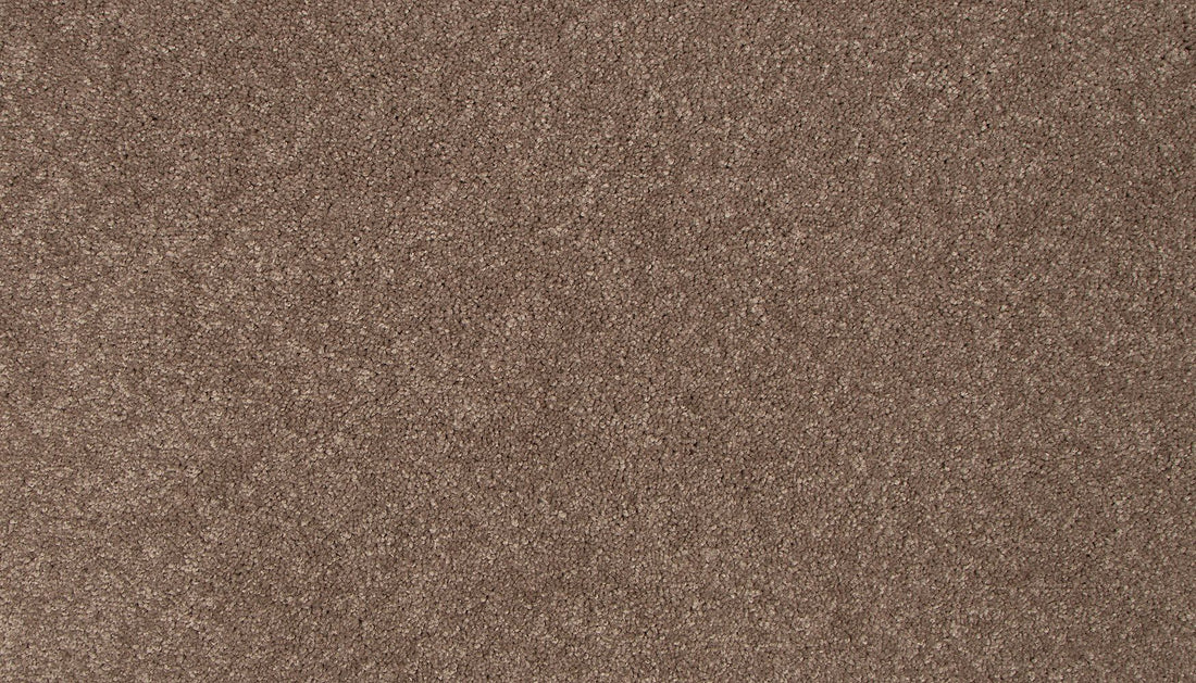 3l19-856-variant-room-scene
