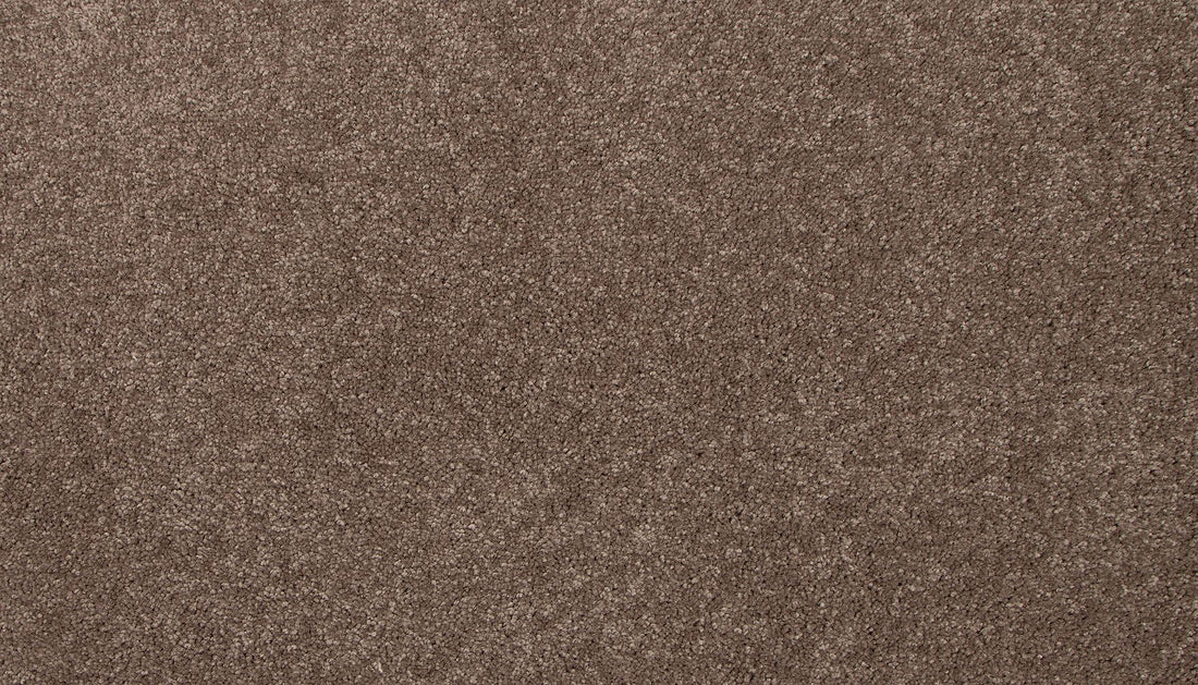 3l19-866-variant-room-scene