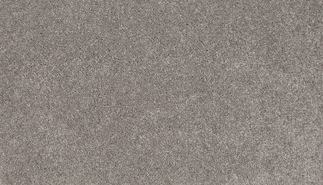 3l19-933-variant-room-scene