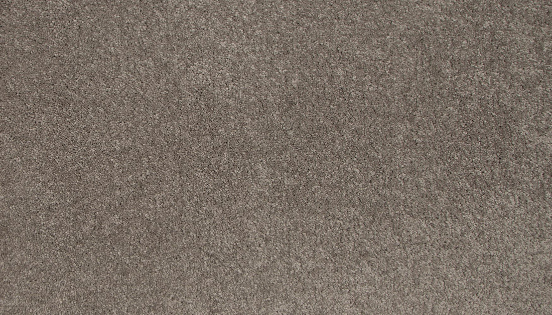 3l19-947-variant-room-scene