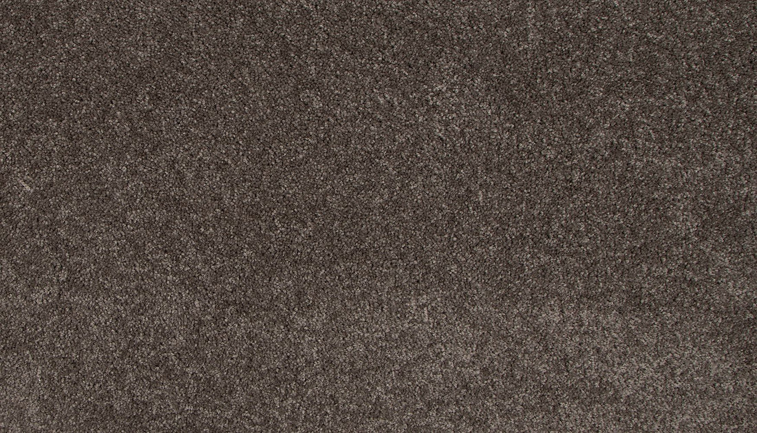 3l19-964-variant-room-scene