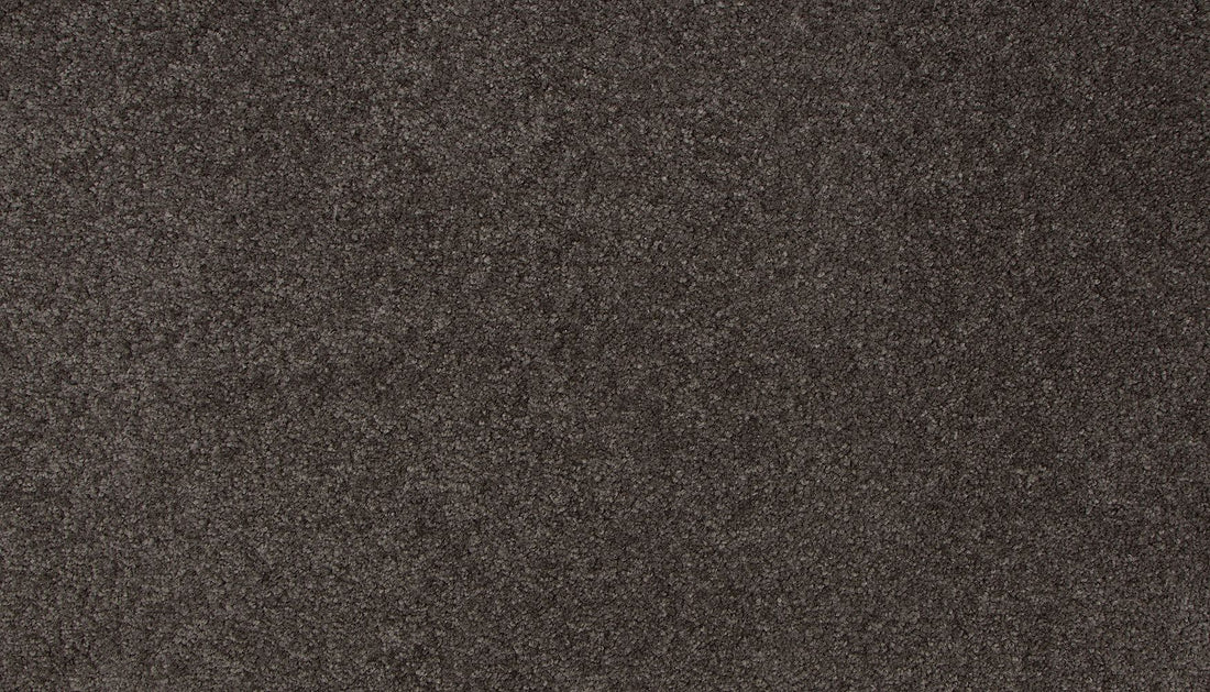 3l19-974-variant-room-scene