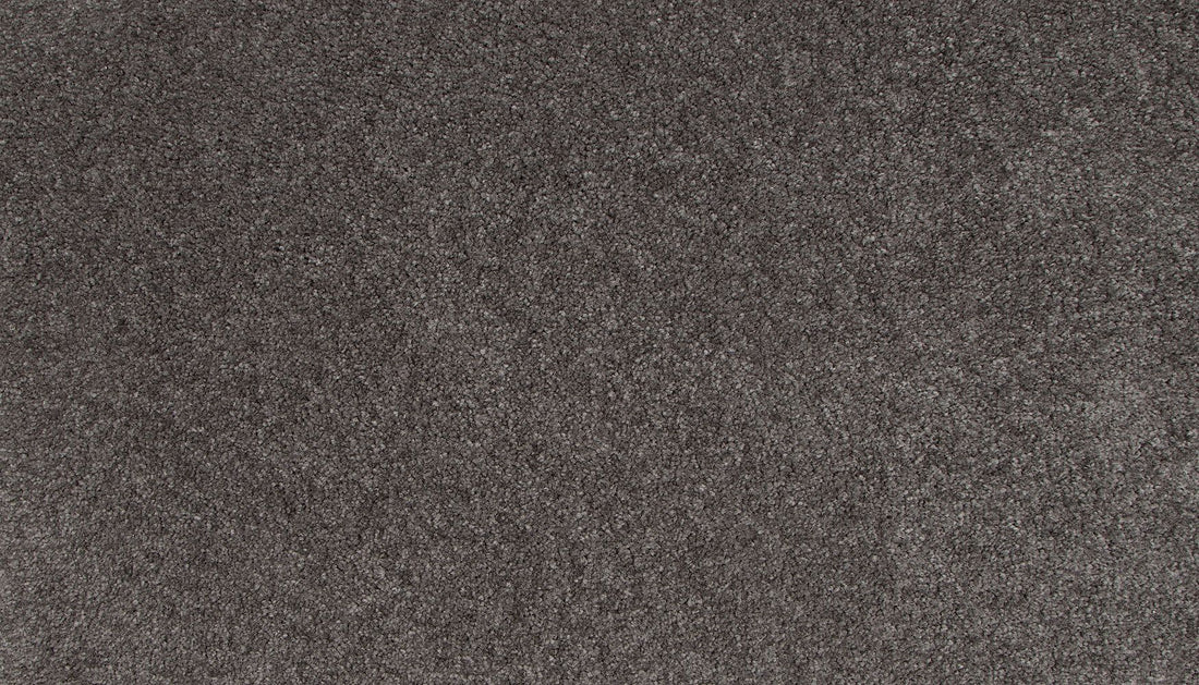 3l19-985-variant-room-scene