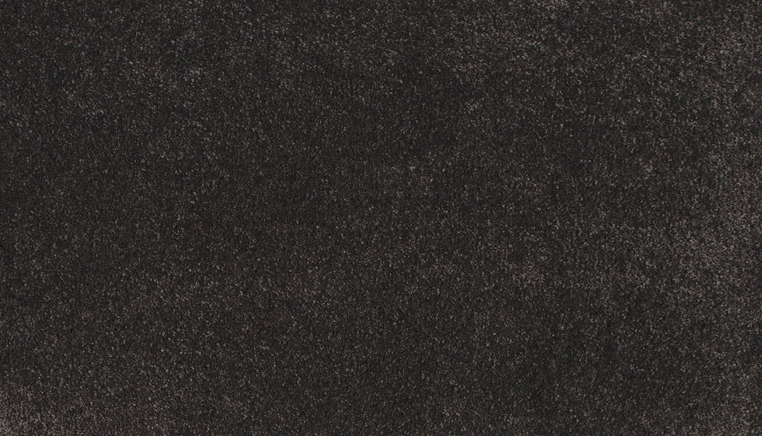 3l19-995-variant-room-scene
