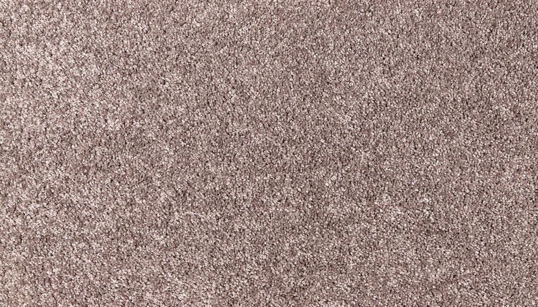 3l99-872-variant-room-scene