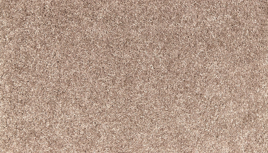 3l99-876-variant-room-scene