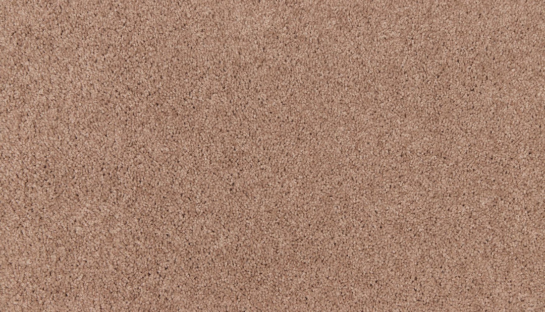 2g47-732-variant-room-scene