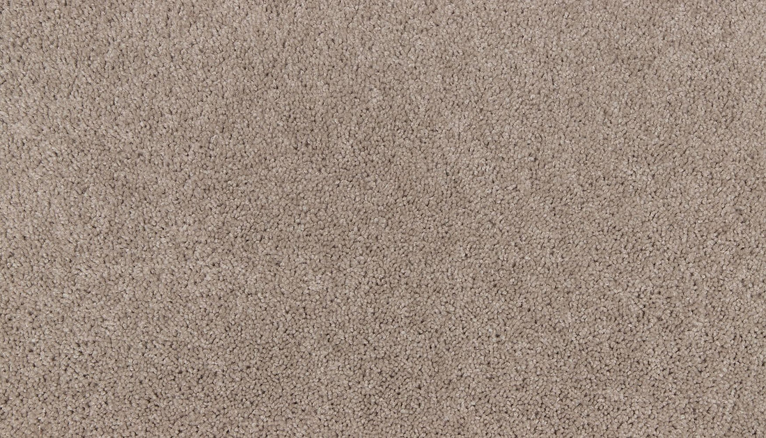 3m01-749-variant-room-scene