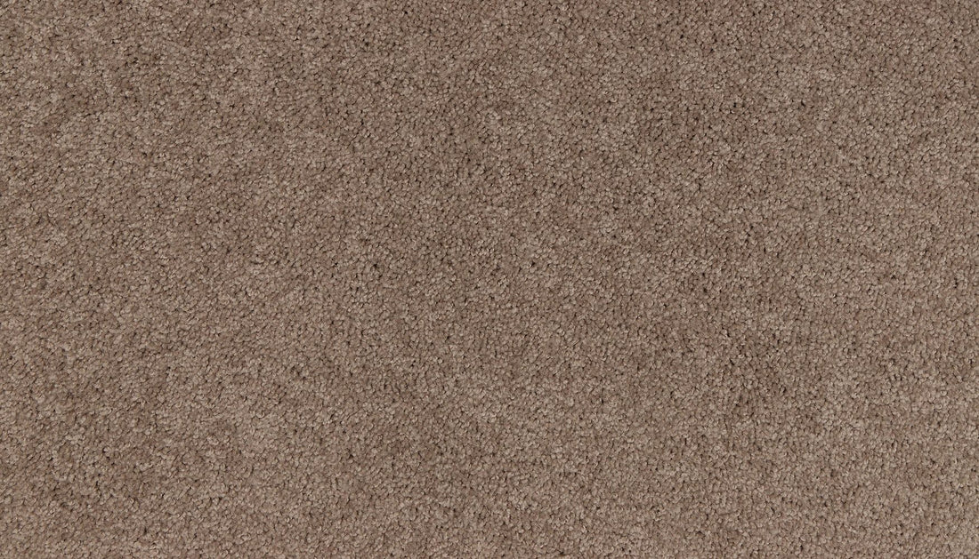 3m01-857-variant-room-scene