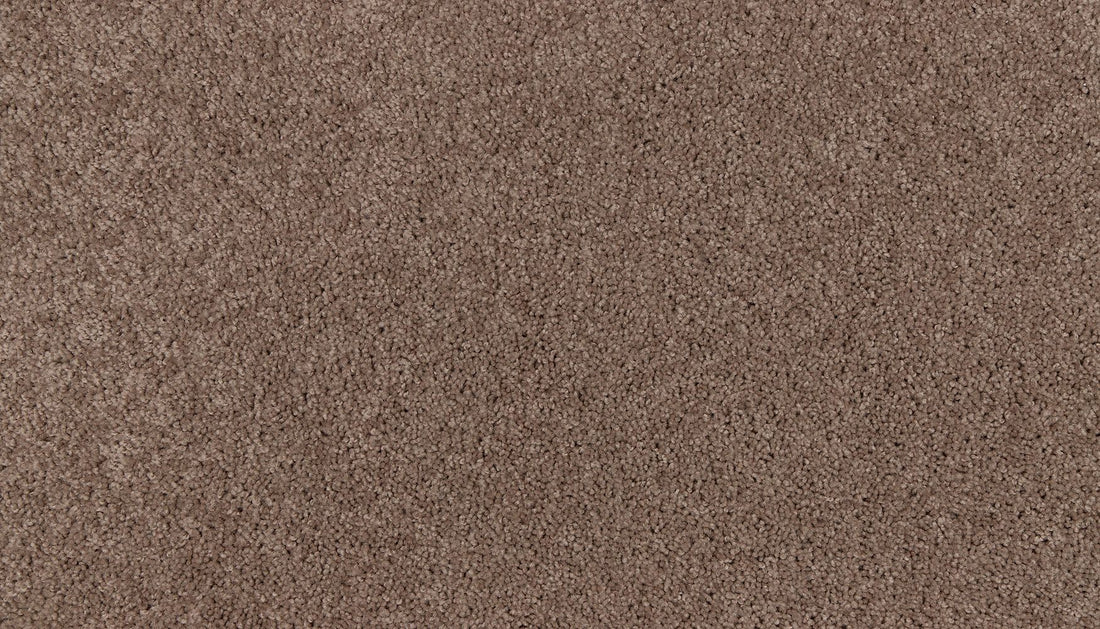 3m01-859-variant-room-scene