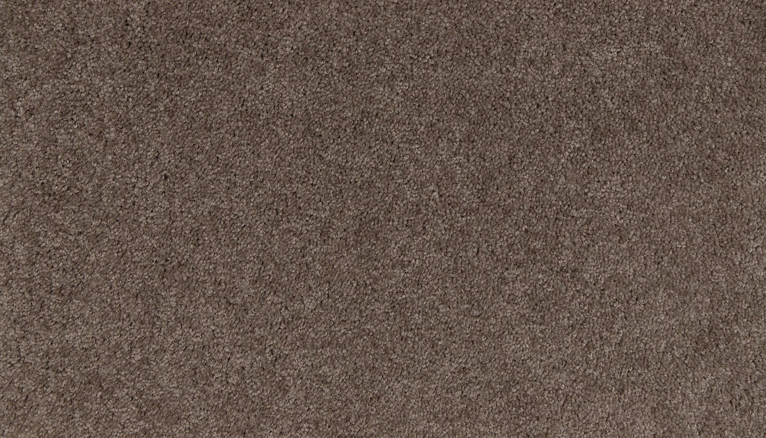 3m01-876-variant-room-scene