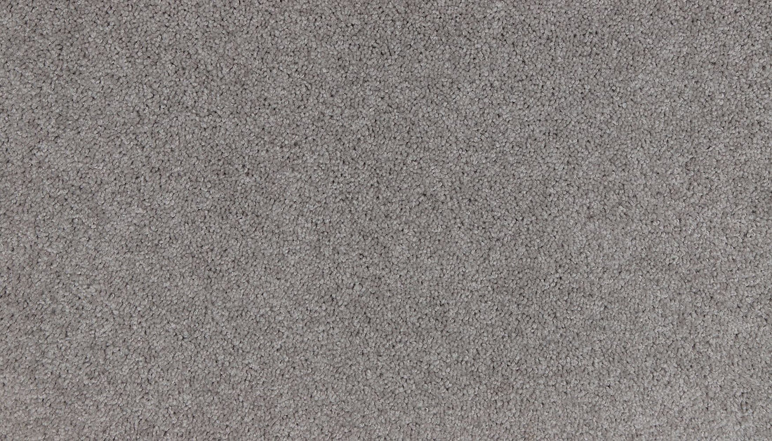 3m01-962-variant-room-scene
