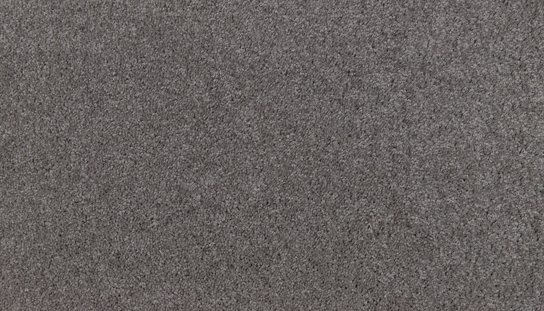 3m01-969-variant-room-scene