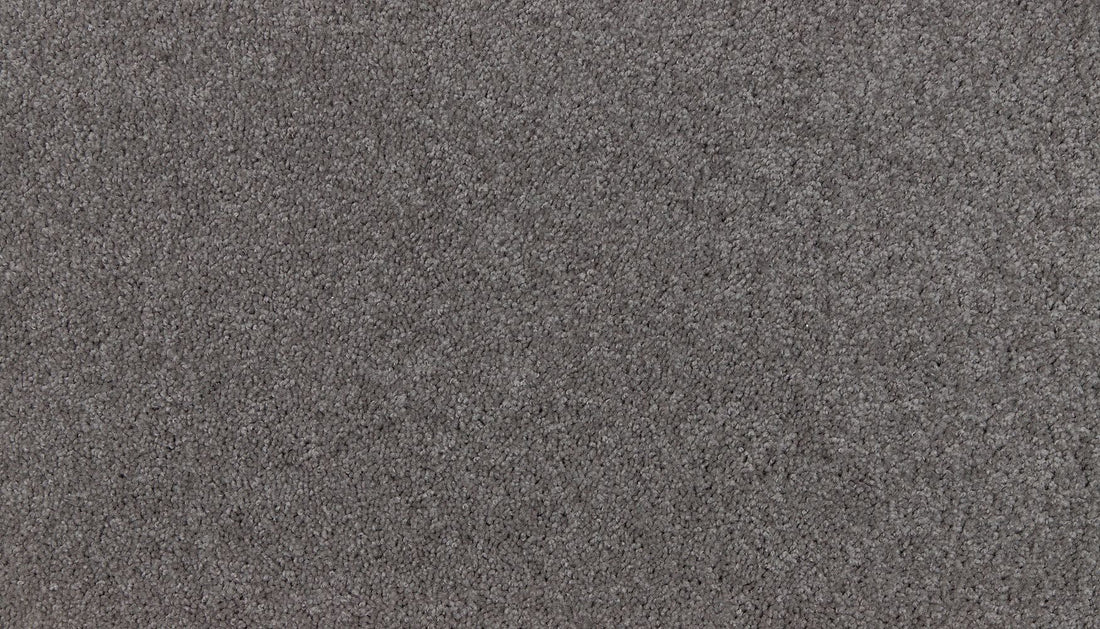 2g47-969-variant-room-scene