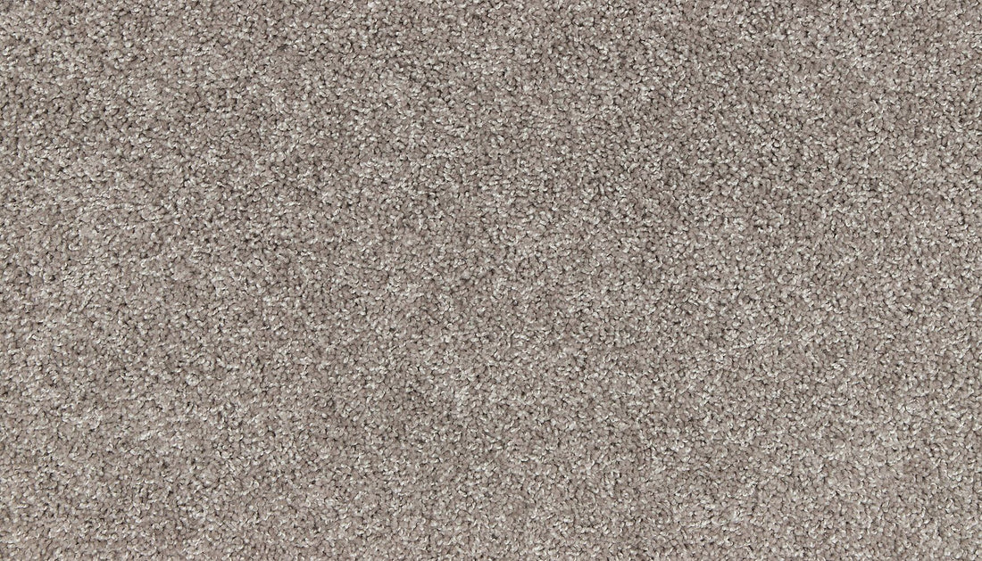 3m02-842-variant-room-scene