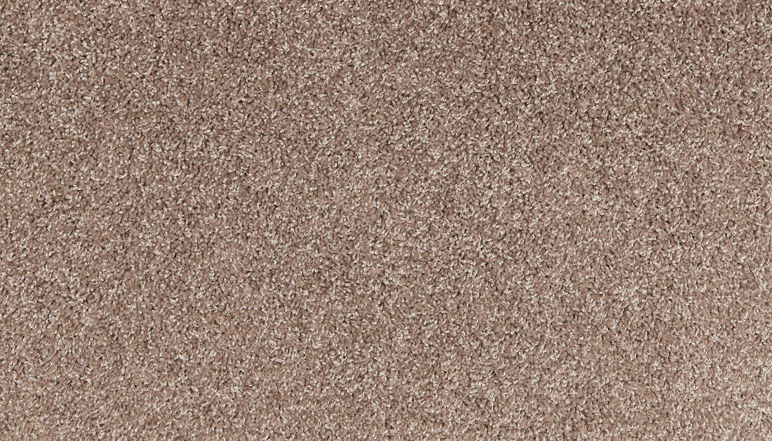 3m03-858-variant-room-scene
