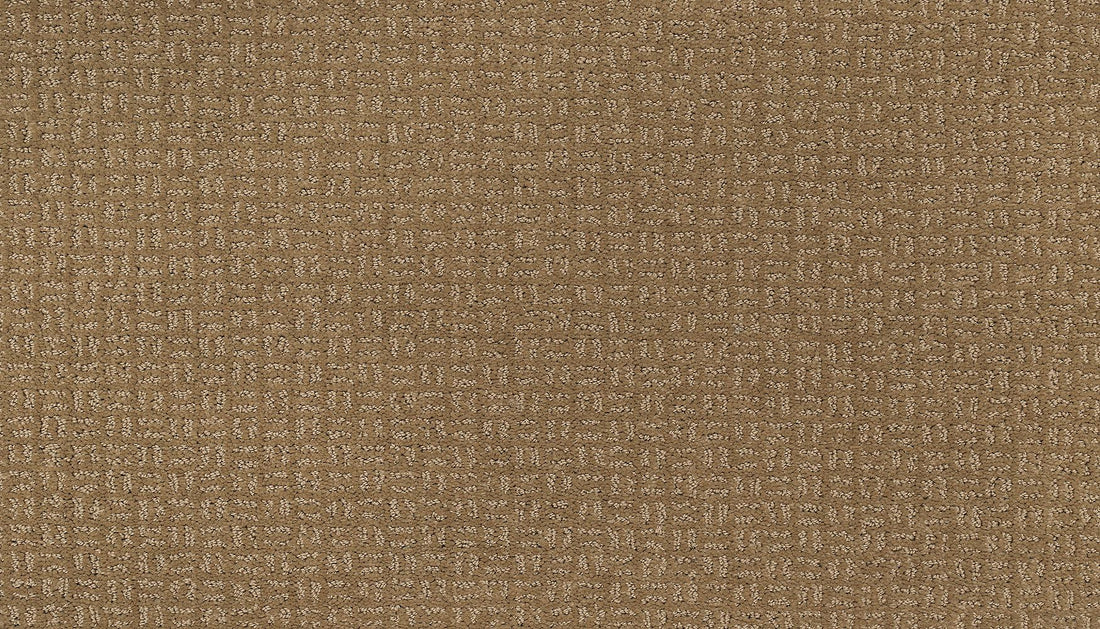 2l64-781-variant-room-scene