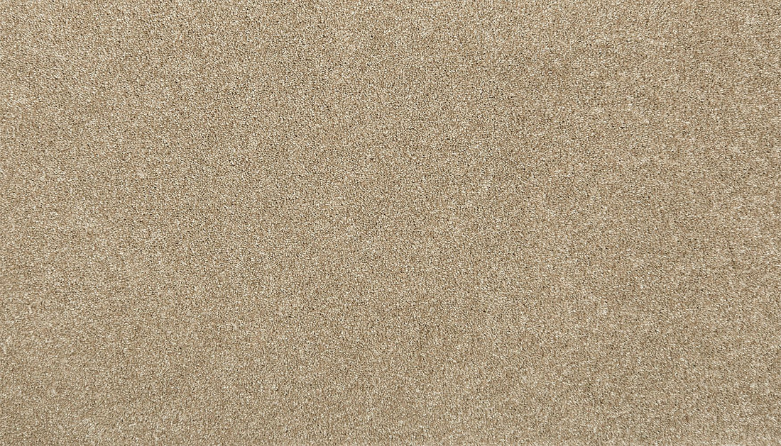 2p45-776-variant-room-scene