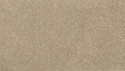 2p45-776-variant-room-scene