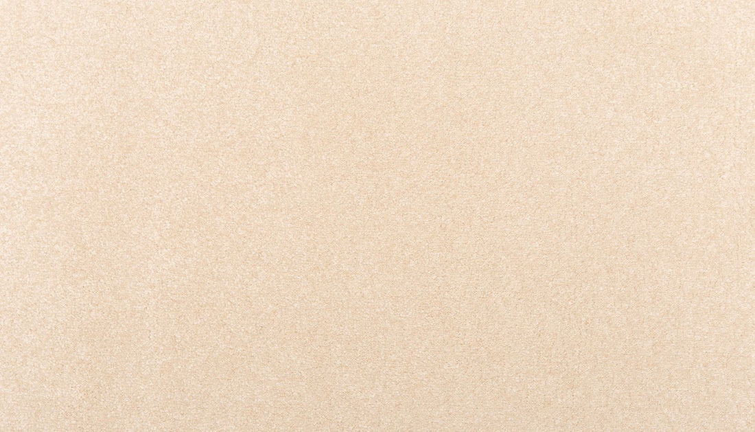2x56-736-variant-room-scene