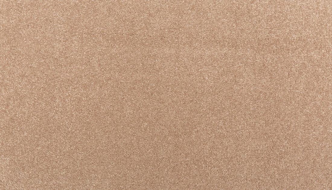 2x56-864-variant-room-scene