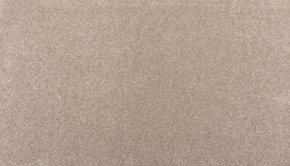 3l64-937-variant-room-scene