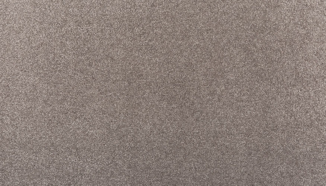 3l64-954-variant-room-scene