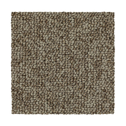 3c49-853-variant-room-scene