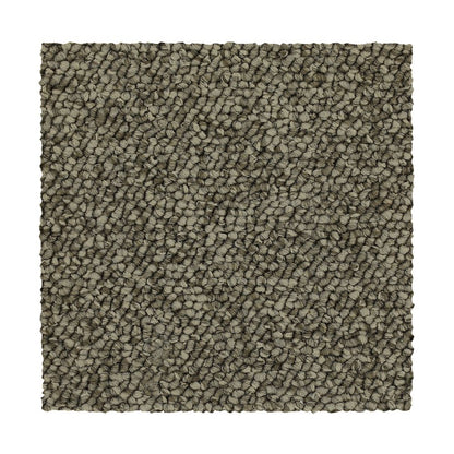 3c49-858-variant-room-scene